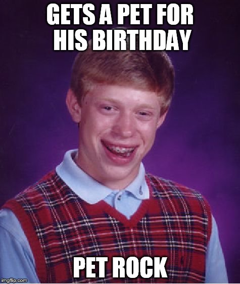 Bad Luck Brian | GETS A PET FOR HIS BIRTHDAY PET ROCK | image tagged in memes,bad luck brian | made w/ Imgflip meme maker