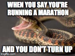 Warning Snake | WHEN YOU SAY YOU'RE RUNNING A MARATHON AND YOU DON'T TURN UP | image tagged in warning snake | made w/ Imgflip meme maker