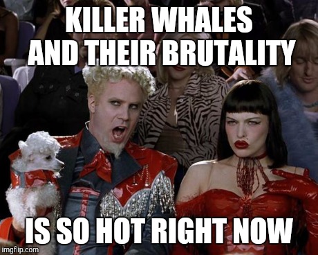 Mugatu So Hot Right Now | KILLER WHALES AND THEIR BRUTALITY IS SO HOT RIGHT NOW | image tagged in memes,mugatu so hot right now | made w/ Imgflip meme maker