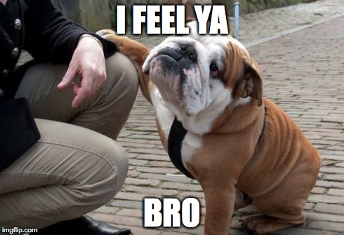 Sympathetic Bulldog | I FEEL YA BRO | image tagged in sympathetic bulldog | made w/ Imgflip meme maker
