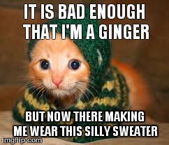 Cat | IT IS BAD ENOUGH THAT I'M A GINGER BUT NOW THERE MAKING ME WEAR THIS SILLY SWEATER | image tagged in ginger cat,sweater,green | made w/ Imgflip meme maker