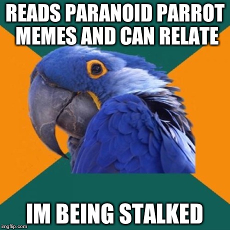 Paranoid Parrot | READS PARANOID PARROT MEMES AND CAN RELATE IM BEING STALKED | image tagged in memes,paranoid parrot | made w/ Imgflip meme maker