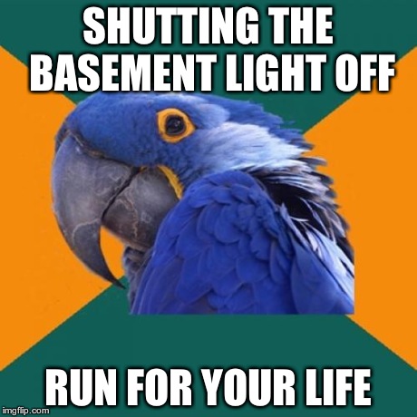 Paranoid Parrot | SHUTTING THE BASEMENT LIGHT OFF RUN FOR YOUR LIFE | image tagged in memes,paranoid parrot | made w/ Imgflip meme maker