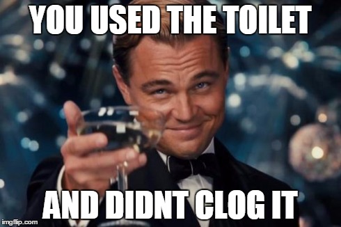 Leonardo Dicaprio Cheers | YOU USED THE TOILET AND DIDNT CLOG IT | image tagged in memes,leonardo dicaprio cheers | made w/ Imgflip meme maker