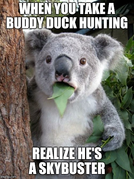 Surprised Koala Meme | WHEN YOU TAKE A BUDDY DUCK HUNTING REALIZE HE'S A SKYBUSTER | image tagged in memes,surprised koala | made w/ Imgflip meme maker