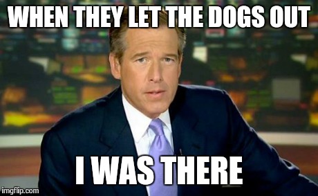 Brian Williams Was There Meme | WHEN THEY LET THE DOGS OUT I WAS THERE | image tagged in memes,brian williams was there | made w/ Imgflip meme maker
