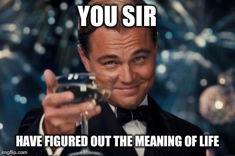 Leonardo Dicaprio Cheers Meme | YOU SIR HAVE FIGURED OUT THE MEANING OF LIFE | image tagged in memes,leonardo dicaprio cheers | made w/ Imgflip meme maker