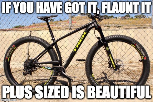 IF YOU HAVE GOT IT, FLAUNT IT PLUS SIZED IS BEAUTIFUL | image tagged in plus size is beautiful | made w/ Imgflip meme maker