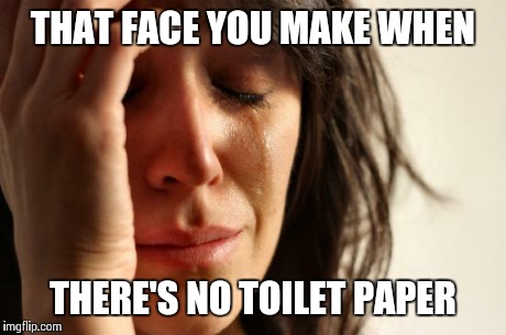 First World Problems Meme | THAT FACE YOU MAKE WHEN THERE'S NO TOILET PAPER | image tagged in memes,first world problems | made w/ Imgflip meme maker