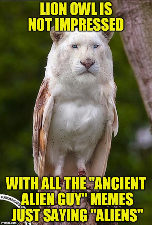 Lion owl | LION OWL IS NOT IMPRESSED WITH ALL THE "ANCIENT ALIEN GUY" MEMES JUST SAYING "ALIENS" | image tagged in lion owl | made w/ Imgflip meme maker