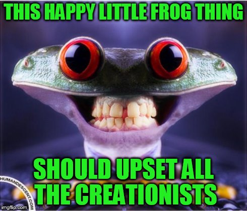 THIS HAPPY LITTLE FROG THING SHOULD UPSET ALL THE CREATIONISTS | image tagged in frog eyed thing | made w/ Imgflip meme maker