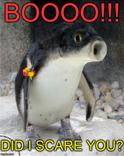 Fish face | BOOOO!!! DID I SCARE YOU? | image tagged in fish face | made w/ Imgflip meme maker