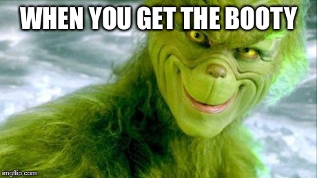 WHEN YOU GET THE BOOTY | image tagged in grinch smile | made w/ Imgflip meme maker