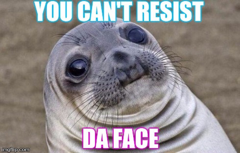 Awkward Moment Sealion Meme | YOU CAN'T RESIST DA FACE | image tagged in memes,awkward moment sealion | made w/ Imgflip meme maker