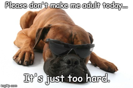 Adult | Please don't make me adult today... It's just too hard. | image tagged in memes,funny,dogs,boxer | made w/ Imgflip meme maker