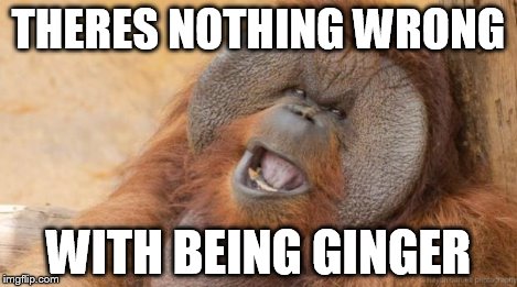 True, so true | THERES NOTHING WRONG WITH BEING GINGER | image tagged in orang-utan | made w/ Imgflip meme maker