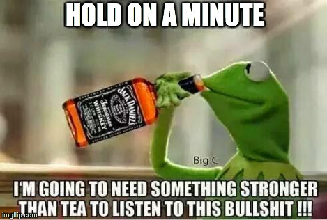 kermit | HOLD ON A MINUTE | image tagged in kermit | made w/ Imgflip meme maker