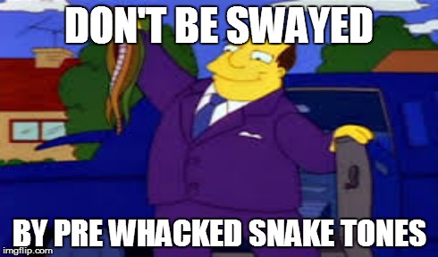 DON'T BE SWAYED BY PRE WHACKED SNAKE TONES | made w/ Imgflip meme maker
