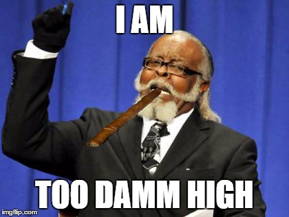 Too Damn High | I AM TOO DAMM HIGH | image tagged in memes,too damn high | made w/ Imgflip meme maker