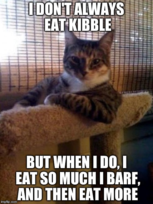 The Most Interesting Cat In The World Meme | I DON'T ALWAYS EAT KIBBLE BUT WHEN I DO, I EAT SO MUCH I BARF, AND THEN EAT MORE | image tagged in memes,the most interesting cat in the world | made w/ Imgflip meme maker