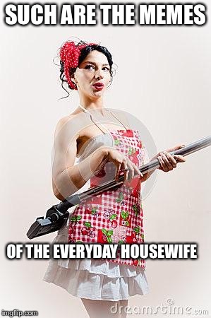 SUCH ARE THE MEMES OF THE EVERYDAY HOUSEWIFE | made w/ Imgflip meme maker