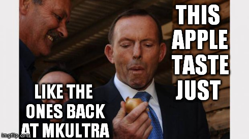 MKUltra Apple for PM Onion Eater Abbott | THIS APPLE TASTE JUST LIKE THE ONES BACK AT MKULTRA | image tagged in onion eating pm,nom nom nom,mkultra,tony abbott,hynotised to eat an onion,memes | made w/ Imgflip meme maker