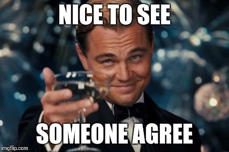 Leonardo Dicaprio Cheers Meme | NICE TO SEE SOMEONE AGREE | image tagged in memes,leonardo dicaprio cheers | made w/ Imgflip meme maker