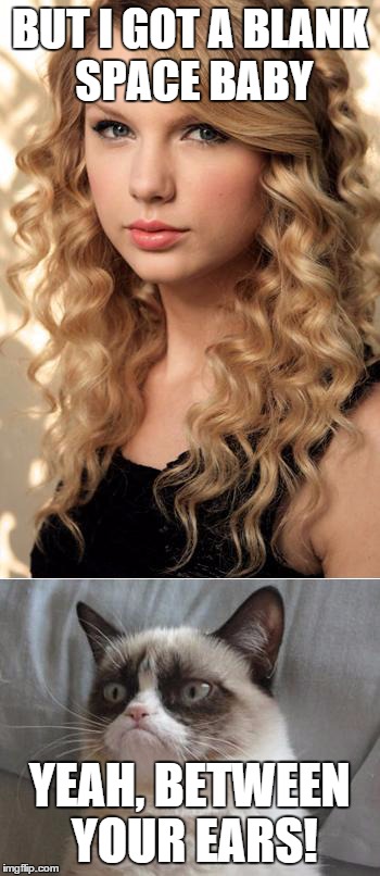 Grumpy Cat on Taylor Swift as NYC's  Global Welcome Ambassador | BUT I GOT A BLANK SPACE BABY YEAH, BETWEEN YOUR EARS! | image tagged in grumpy cat on taylor swift as nyc's  global welcome ambassador,grumpy cat,taylor swift | made w/ Imgflip meme maker