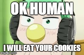 Baby Beel's music | OK HUMAN I WILL EAT YOUR COOKIES | image tagged in baby beel's music | made w/ Imgflip meme maker