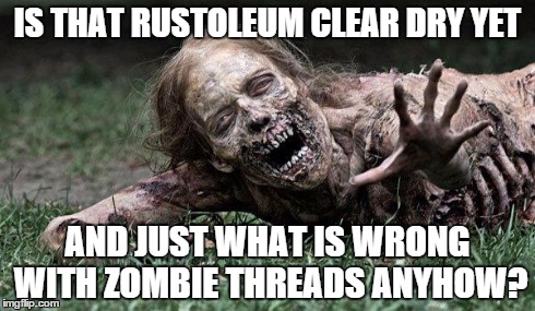 Walking Dead Zombie | IS THAT RUSTOLEUM CLEAR DRY YET AND JUST WHAT IS WRONG WITH ZOMBIE THREADS ANYHOW? | image tagged in walking dead zombie | made w/ Imgflip meme maker