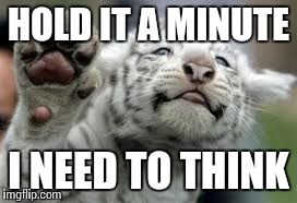HOLD IT A MINUTE I NEED TO THINK | image tagged in cute tiger | made w/ Imgflip meme maker
