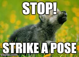STOP! STRIKE A POSE | image tagged in work it | made w/ Imgflip meme maker