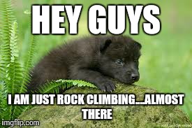 HEY GUYS I AM JUST ROCK CLIMBING....ALMOST THERE | image tagged in rock | made w/ Imgflip meme maker