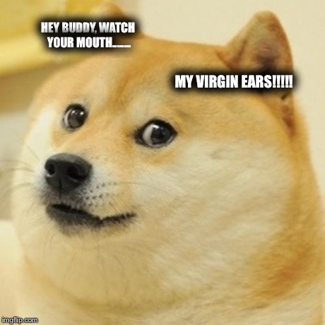 Doge | HEY BUDDY, WATCH YOUR MOUTH........ MY VIRGIN EARS!!!!! | image tagged in memes,doge | made w/ Imgflip meme maker