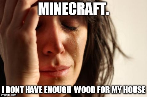 First World Problems | MINECRAFT. I DONT HAVE ENOUGH  WOOD FOR MY HOUSE | image tagged in memes,first world problems | made w/ Imgflip meme maker