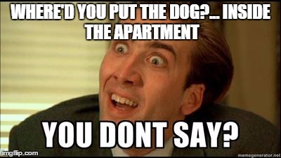 You don't say | WHERE'D YOU PUT THE DOG?...INSIDE THE APARTMENT | image tagged in you don't say | made w/ Imgflip meme maker