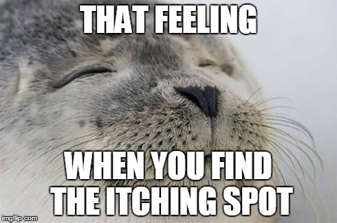 Satisfied Seal | THAT FEELING WHEN YOU FIND THE ITCHING SPOT | image tagged in memes,satisfied seal | made w/ Imgflip meme maker