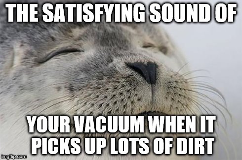 No? Anyone else? | THE SATISFYING SOUND OF YOUR VACUUM WHEN IT PICKS UP LOTS OF DIRT | image tagged in memes,satisfied seal | made w/ Imgflip meme maker