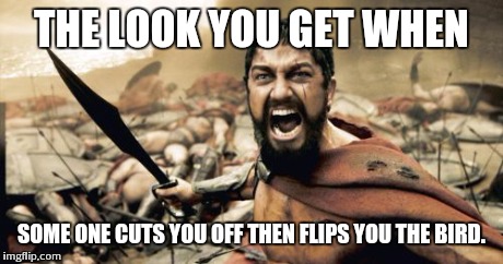 Sparta Leonidas | THE LOOK YOU GET WHEN SOME ONE CUTS YOU OFF THEN FLIPS YOU THE BIRD. | image tagged in memes,sparta leonidas | made w/ Imgflip meme maker
