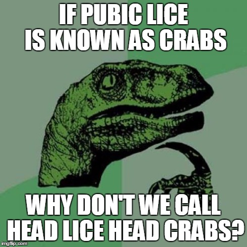 Philosoraptor Meme | IF PUBIC LICE IS KNOWN AS CRABS WHY DON'T WE CALL HEAD LICE HEAD CRABS? | image tagged in memes,philosoraptor | made w/ Imgflip meme maker