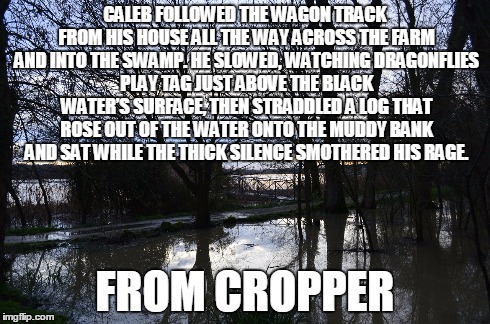 Caleb | CALEB FOLLOWED THE WAGON TRACK FROM HIS HOUSE ALL THE WAY ACROSS THE FARM AND INTO THE SWAMP. HE SLOWED, WATCHING DRAGONFLIES PLAY TAG JUST  | image tagged in books | made w/ Imgflip meme maker