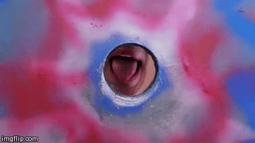 licky - Imgflip