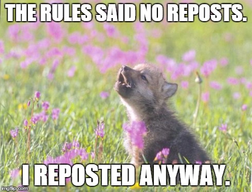 Baby Insanity Wolf Meme | THE RULES SAID NO REPOSTS. I REPOSTED ANYWAY. | image tagged in memes,baby insanity wolf,AdviceAnimals | made w/ Imgflip meme maker