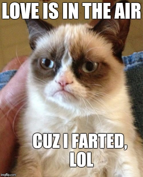 Grumpy Cat Meme | LOVE IS IN THE AIR CUZ I FARTED, LOL | image tagged in memes,grumpy cat | made w/ Imgflip meme maker