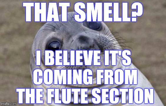 Awkward Moment Sealion Meme | THAT SMELL? I BELIEVE IT'S COMING FROM THE FLUTE SECTION | image tagged in memes,awkward moment sealion | made w/ Imgflip meme maker
