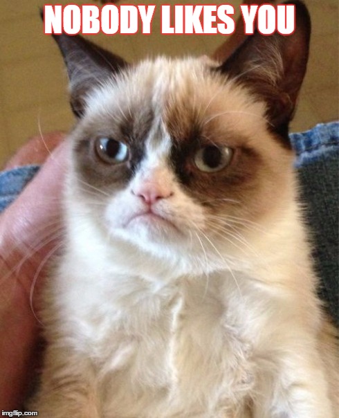 Grumpy Cat Meme | NOBODY LIKES YOU | image tagged in memes,grumpy cat | made w/ Imgflip meme maker