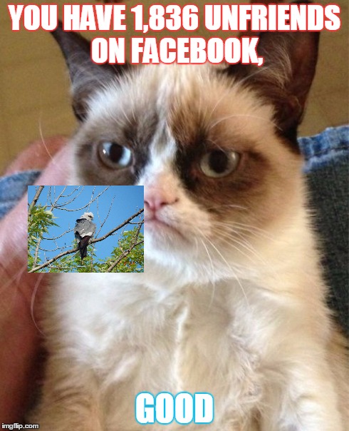 Grumpy Cat | YOU HAVE 1,836 UNFRIENDS ON FACEBOOK, GOOD | image tagged in memes,grumpy cat | made w/ Imgflip meme maker