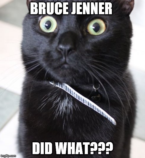 Woah Kitty | BRUCE JENNER DID WHAT??? | image tagged in memes,woah kitty | made w/ Imgflip meme maker
