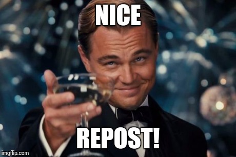 Leonardo Dicaprio Cheers Meme | NICE REPOST! | image tagged in memes,leonardo dicaprio cheers | made w/ Imgflip meme maker