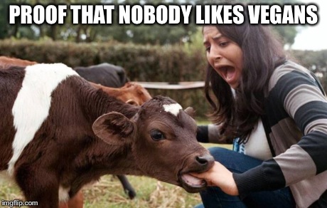 Chomp  | PROOF THAT NOBODY LIKES VEGANS | image tagged in vegan,cows,memes,pain | made w/ Imgflip meme maker